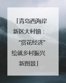 青岛西海岸新区大村镇：“赏花经济”绘就乡村振兴新图景