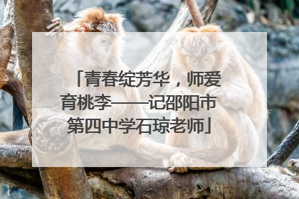 青春绽芳华，师爱育桃李——记邵阳市第四中学石琼老师
