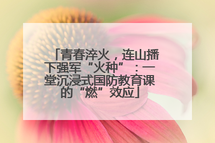 青春淬火，连山播下强军“火种”：一堂沉浸式国防教育课的“燃”效应