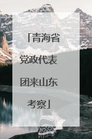 青海省党政代表团来山东考察