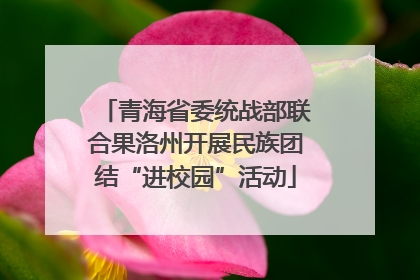 青海省委统战部联合果洛州开展民族团结“进校园”活动