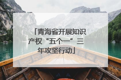 青海省开展知识产权“五个一”三年攻坚行动