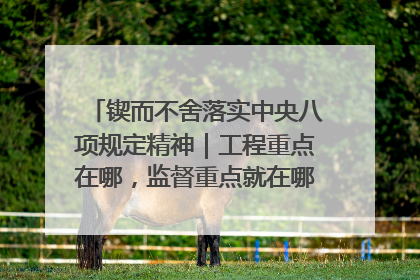 锲而不舍落实中央八项规定精神｜工程重点在哪，监督重点就在哪——广西深化政治监督护航平陆运河建设