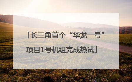 长三角首个“华龙一号”项目1号机组完成热试