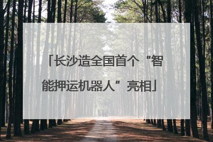 长沙造全国首个“智能押运机器人”亮相