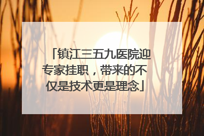镇江三五九医院迎专家挂职，带来的不仅是技术更是理念