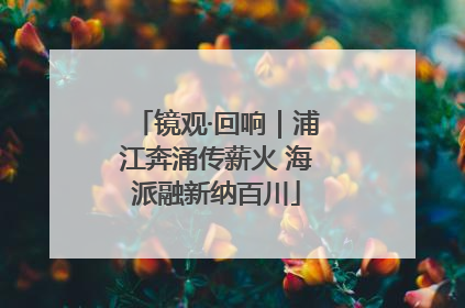 镜观·回响｜浦江奔涌传薪火 海派融新纳百川