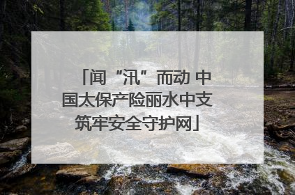 闻“汛”而动 中国太保产险丽水中支筑牢安全守护网