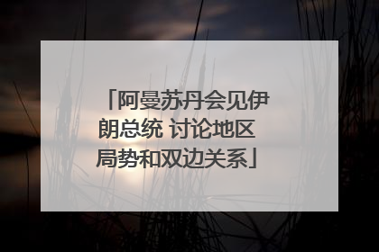 阿曼苏丹会见伊朗总统 讨论地区局势和双边关系