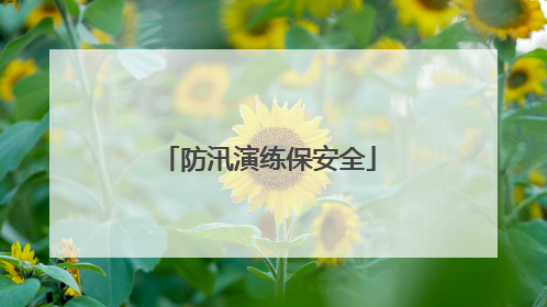 防汛演练保安全