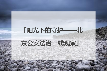 阳光下的守护——北京公安法治一线观察