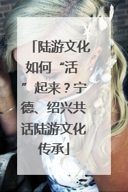 陆游文化如何“活 ”起来？宁德、绍兴共话陆游文化传承