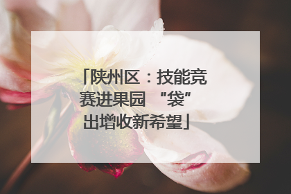 陕州区：技能竞赛进果园 “袋”出增收新希望