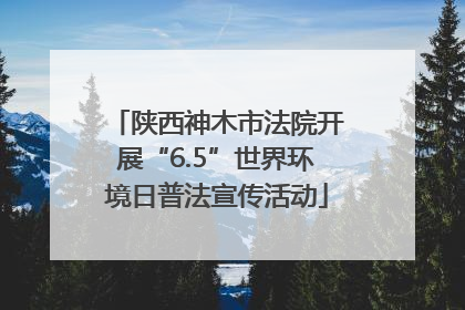 陕西神木市法院开展“6.5”世界环境日普法宣传活动