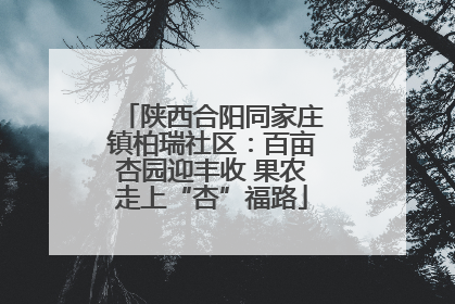 陕西合阳同家庄镇柏瑞社区：百亩杏园迎丰收 果农走上“杏”福路