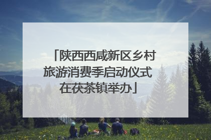 陕西西咸新区乡村旅游消费季启动仪式在茯茶镇举办