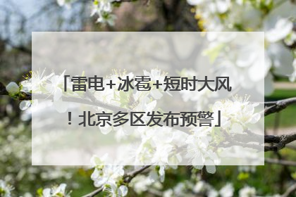 雷电+冰雹+短时大风！北京多区发布预警