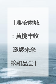 雅安雨城：黄桃丰收 邀您来采摘和品尝