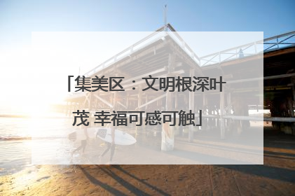 集美区：文明根深叶茂 幸福可感可触