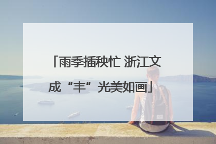 雨季插秧忙 浙江文成“丰”光美如画