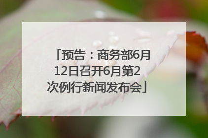 预告：商务部6月12日召开6月第2次例行新闻发布会