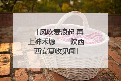 风吹麦浪起 再上神禾塬——陕西西安夏收见闻