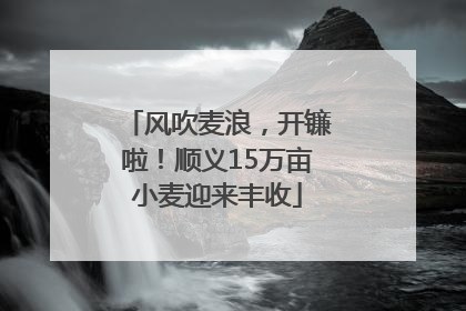 风吹麦浪，开镰啦！顺义15万亩小麦迎来丰收