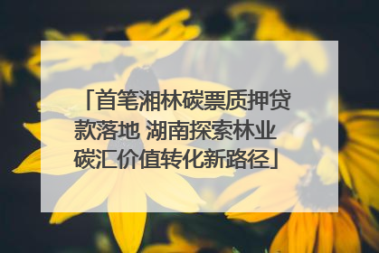 首笔湘林碳票质押贷款落地 湖南探索林业碳汇价值转化新路径