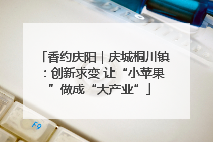 香约庆阳｜庆城桐川镇：创新求变 让“小苹果”做成“大产业”