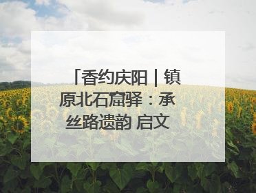 香约庆阳｜镇原北石窟驿：承丝路遗韵 启文旅创新篇章