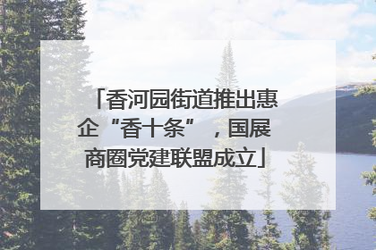 香河园街道推出惠企“香十条”，国展商圈党建联盟成立