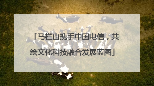 马栏山携手中国电信，共绘文化科技融合发展蓝图