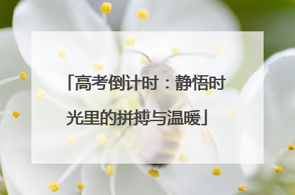 高考倒计时：静悟时光里的拼搏与温暖