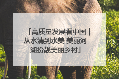 高质量发展看中国｜从水清到水美 美丽河湖扮靓美丽乡村