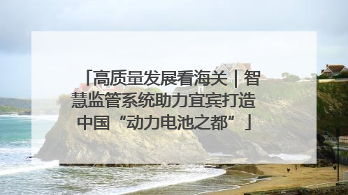 高质量发展看海关｜智慧监管系统助力宜宾打造中国“动力电池之都”