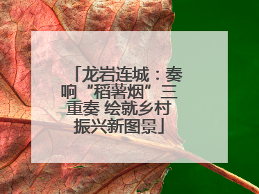 龙岩连城：奏响“稻薯烟”三重奏 绘就乡村振兴新图景