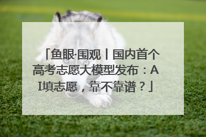 鱼眼·围观丨国内首个高考志愿大模型发布：AI填志愿，靠不靠谱？