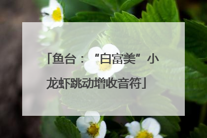 鱼台：“白富美”小龙虾跳动增收音符
