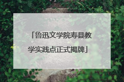 鲁迅文学院寿县教学实践点正式揭牌