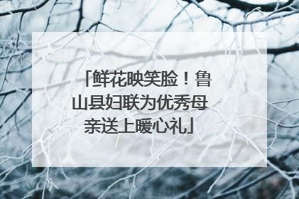 鲜花映笑脸！鲁山县妇联为优秀母亲送上暖心礼