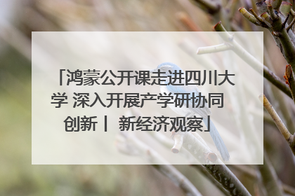 鸿蒙公开课走进四川大学 深入开展产学研协同创新丨 新经济观察