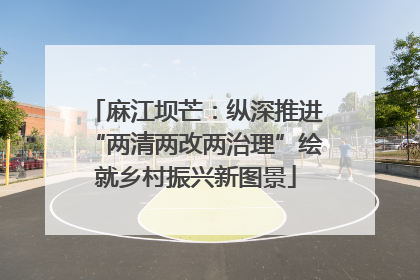 麻江坝芒：纵深推进“两清两改两治理”绘就乡村振兴新图景