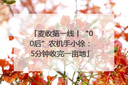 麦收第一线丨“00后”农机手小徐：5分钟收完一亩地