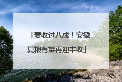 麦收过八成！安徽夏粮有望再迎丰收