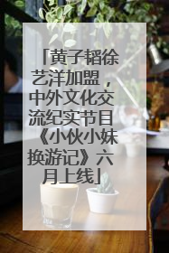 黄子韬徐艺洋加盟，中外文化交流纪实节目《小伙小妹换游记》六月上线