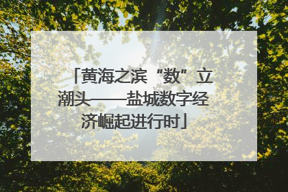黄海之滨“数”立潮头——盐城数字经济崛起进行时