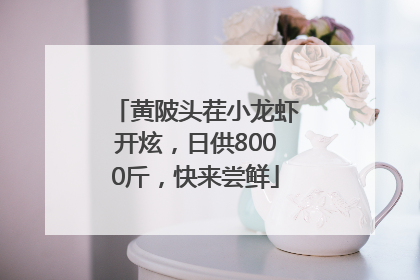 黄陂头茬小龙虾开炫，日供8000斤，快来尝鲜