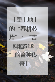 黑土地上的“春耕芯片”：“吉科稻518”的育种传奇