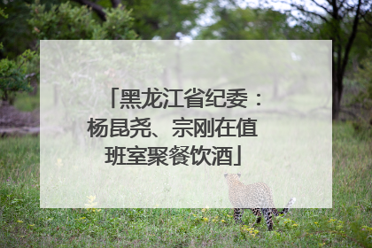 黑龙江省纪委：杨昆尧、宗刚在值班室聚餐饮酒