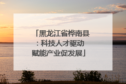 黑龙江省桦南县：科技人才驱动 赋能产业促发展